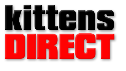 kittensdirect logo